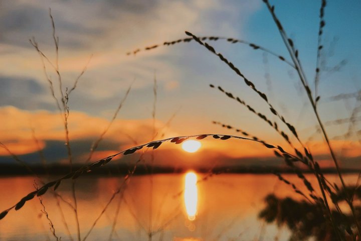 راهنمای کامل schema markup برای وردپرس — تصویر 1