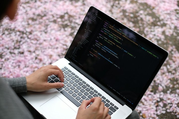 چرا صاحبان سایت در رشت به افزونه اختصاصی نیاز دارند؟