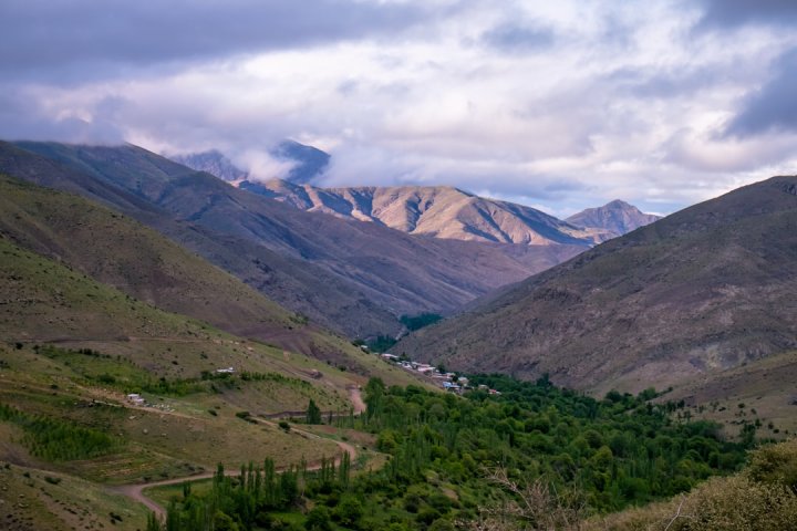 طراحی پلاگین اختصاصی وردپرس با سرعت بالا در زنجان — تصویر 1